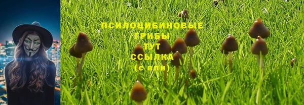 прущая мука Баксан